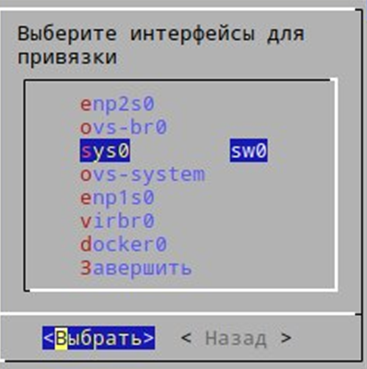 Выбор публичного сетевого интерфейса